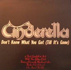 Cinderella (USA) : Don't Know What You Got (Till It's Gone)